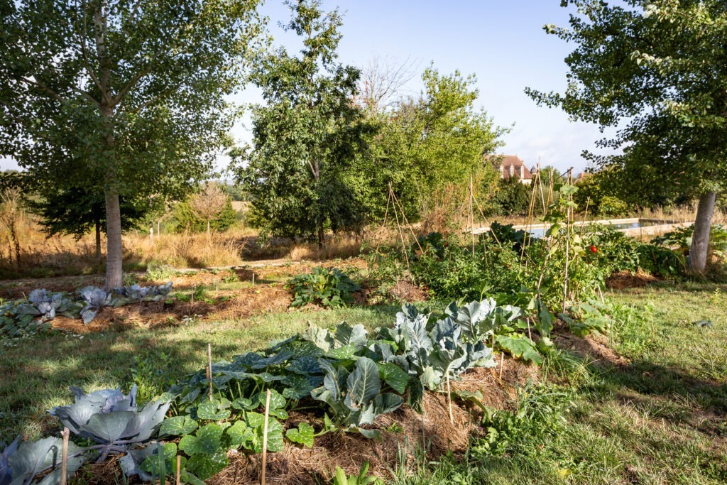 Château de la Borie, Jardin de permaculture. Photo NNicolas Gaillard
