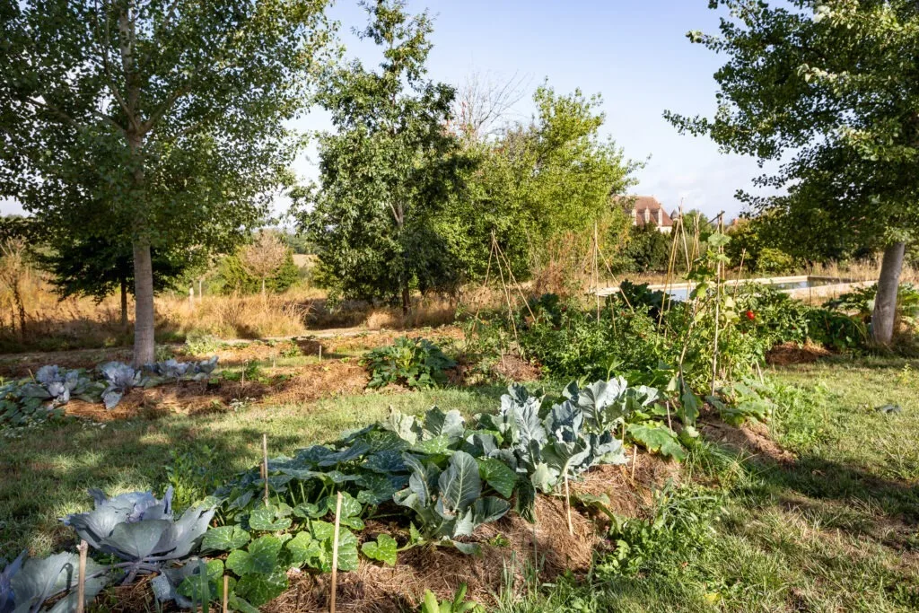 Château de la Borie, Jardin de permaculture. Photo NNicolas Gaillard