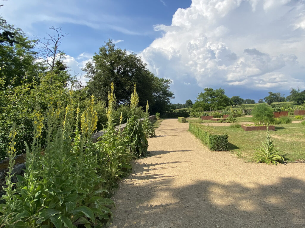 Jardin à la francaise 2020 mai IMG_1028