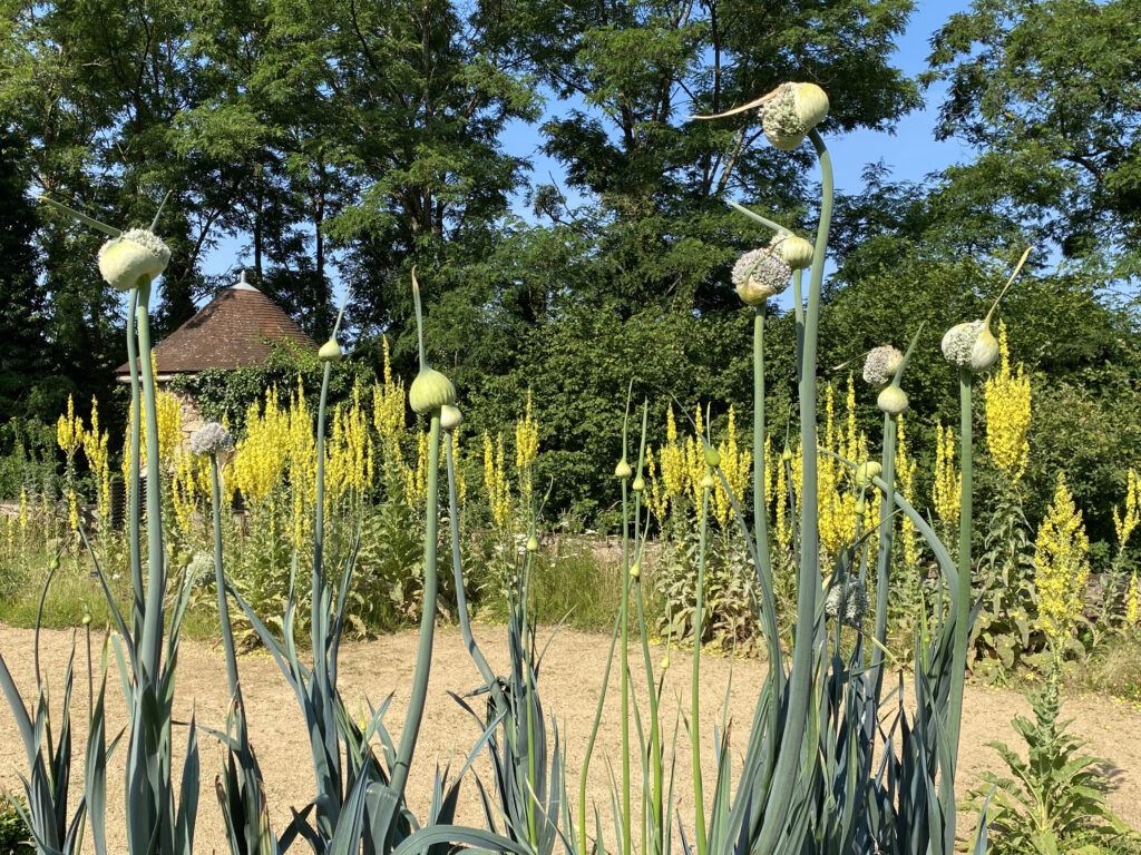 Le jardin à la française