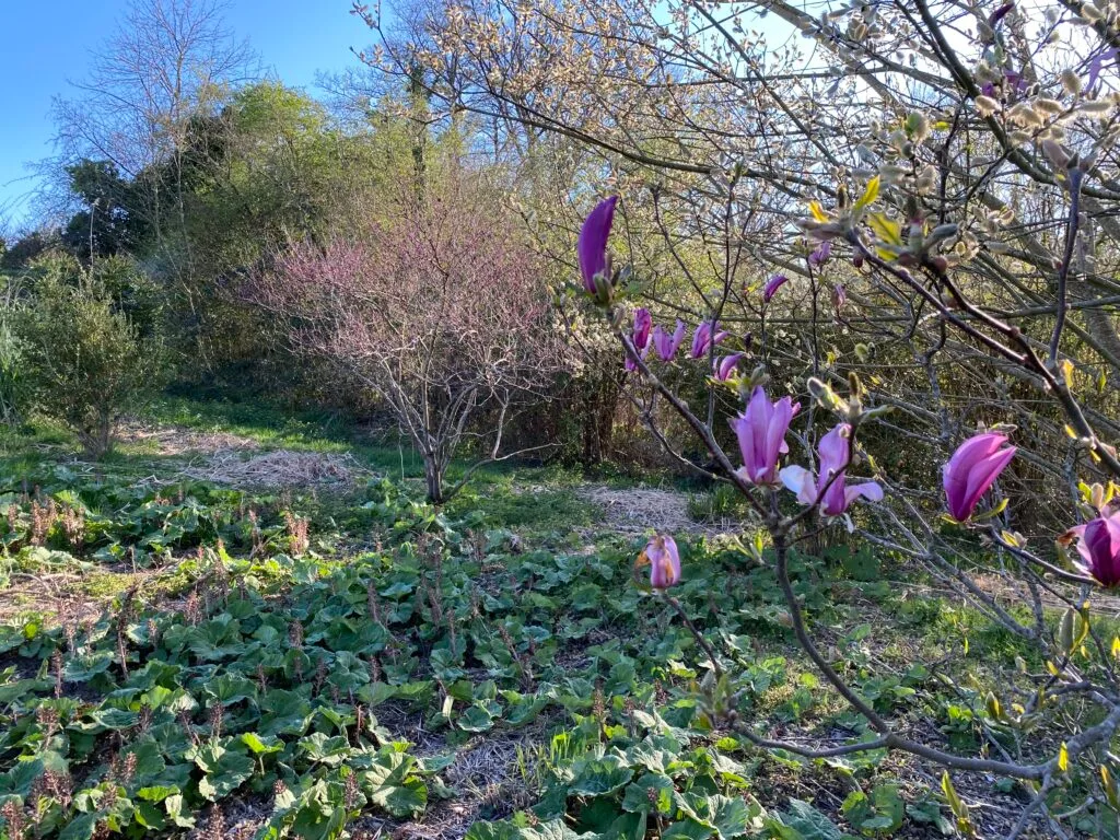 Le jardin en mouvement