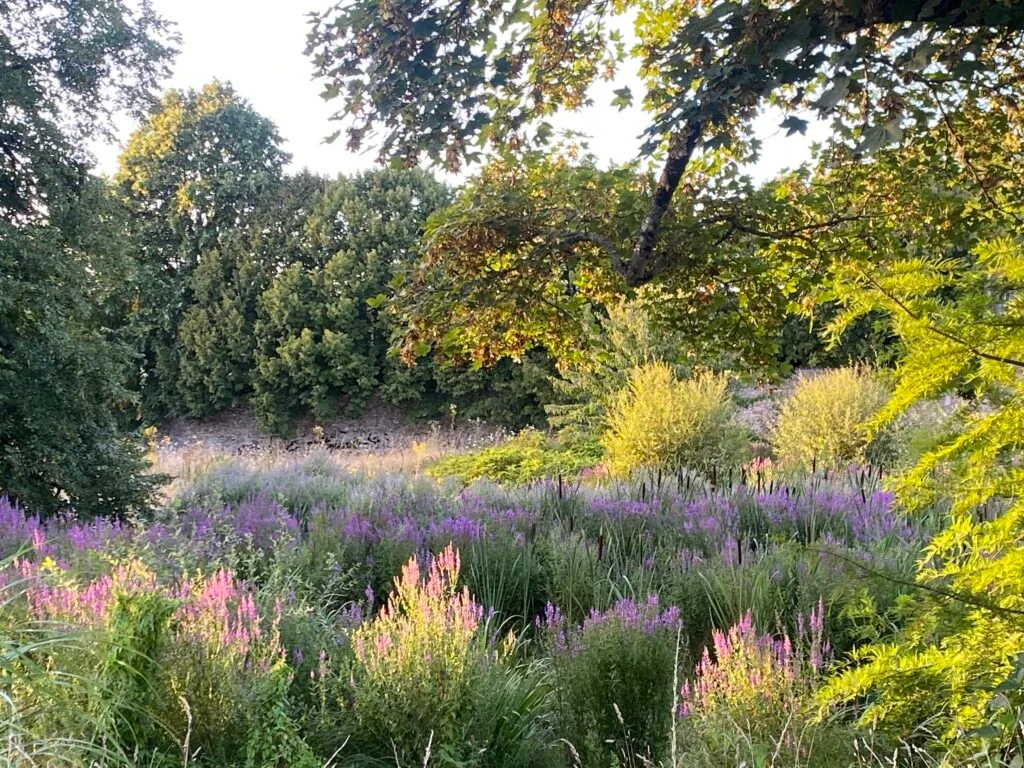 Le jardin en mouvement