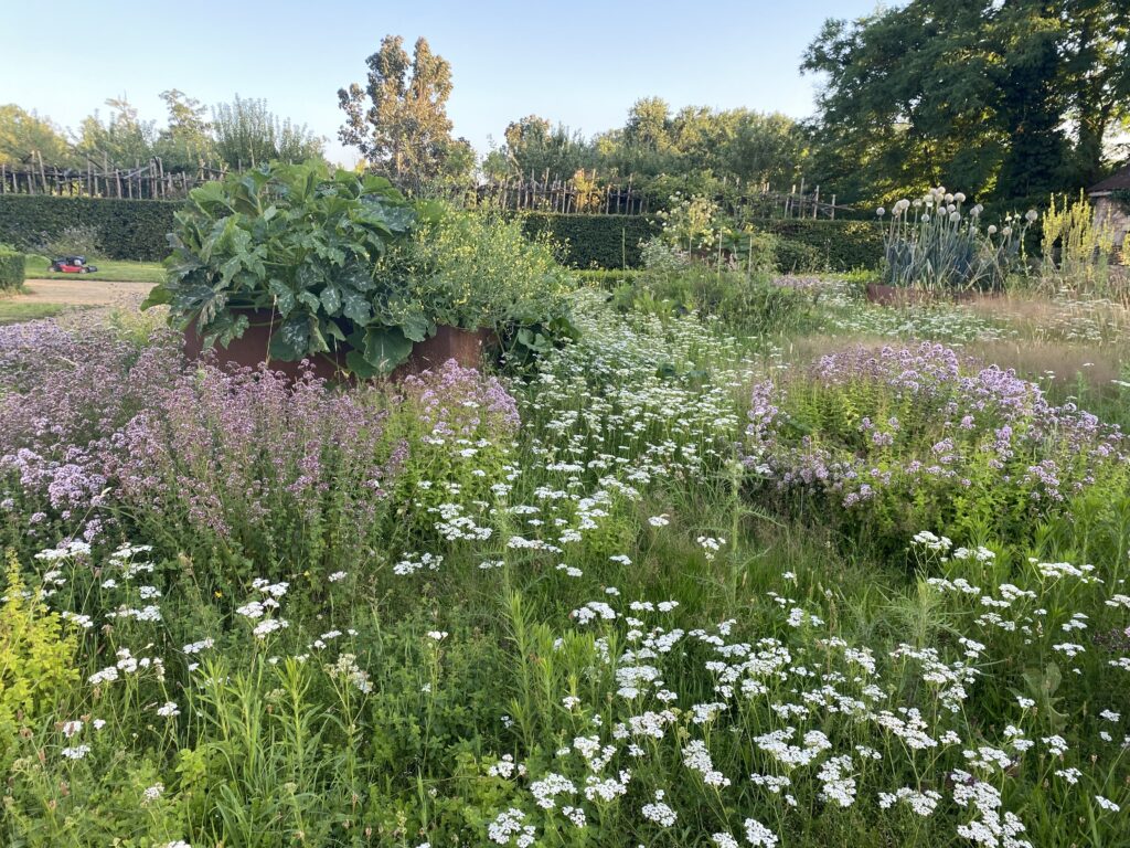 Le jardin à la française