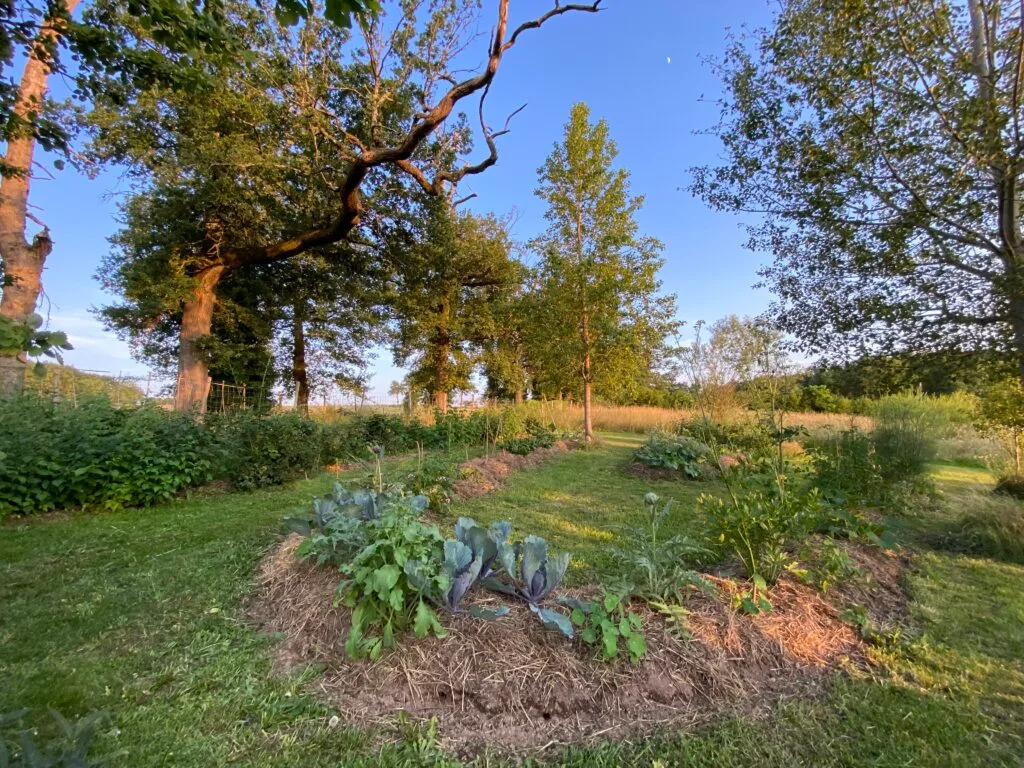 Le potager en permaculture